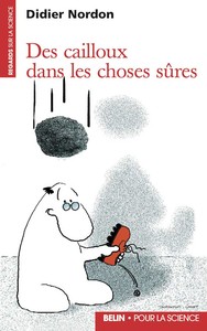 Image de Des cailloux dans les choses sûres