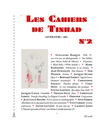 Image de Les Cahiers de Tinbad n°2