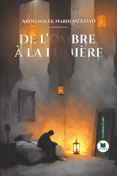 Picture of De l'ombre à la lumière