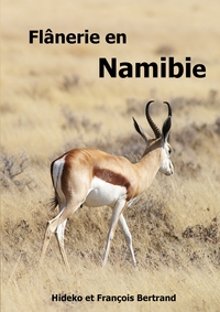 Picture of Flânerie en Namibie