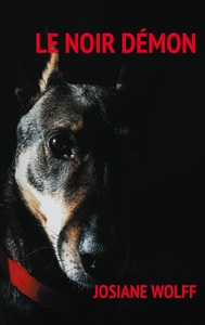 Image de Le noir démon