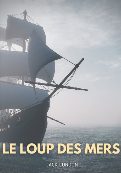 Image de Le loup des mers