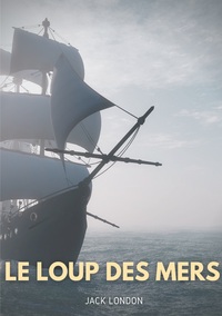 Image de Le loup des mers
