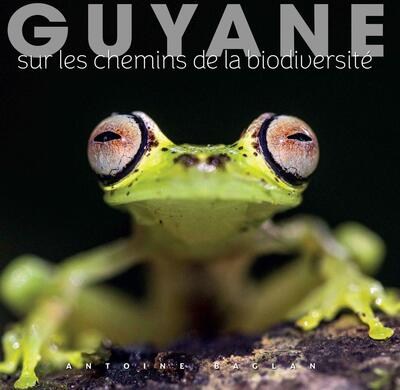 Picture of Guyane