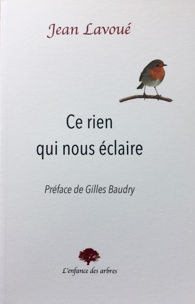 Picture of Ce rien qui nous éclaire