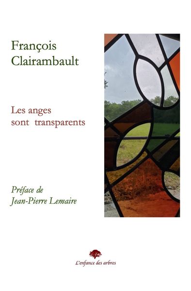 Picture of Les anges sont transparents