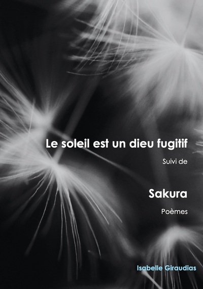 Image de Le soleil est un dieu fugitif