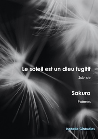 Image de Le soleil est un dieu fugitif