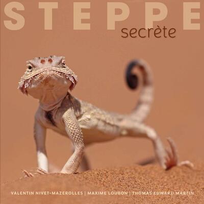 Picture of Steppe secrète