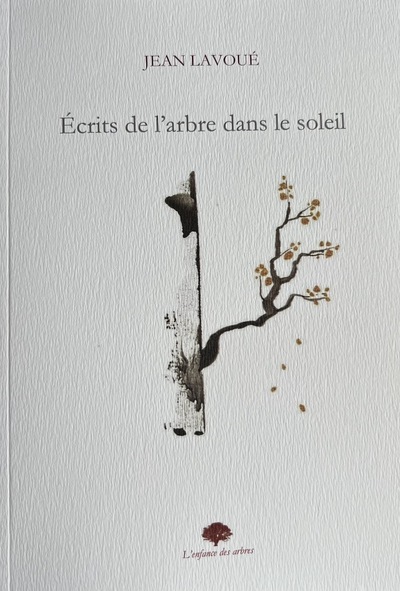Picture of Écrits de l'arbre dans le soleil