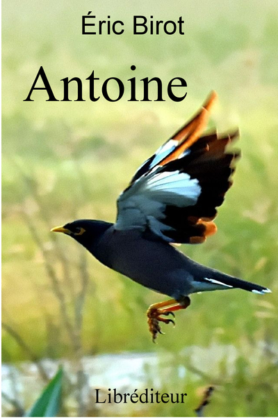 Picture of Antoine