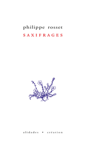 Picture of Saxifrages