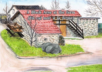 Picture of Un cul noir à la ferme