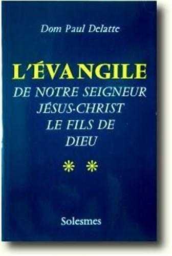 Image de L'Evangile de Notre Seigneur Jésus-Christ - Tome 2