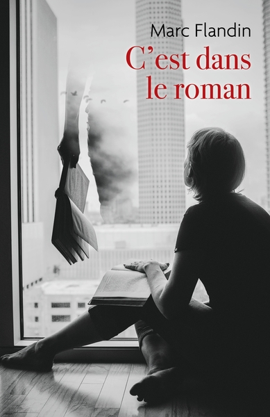 Image de C'est dans le roman