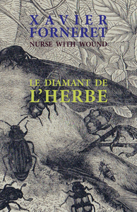 Picture of Le diamant de l'herbe (livre + CD)
