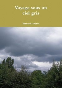 Picture of Voyage sous un ciel gris