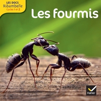 Image de Les Docs Ribambelle Cycle 2 éd. 2014 - Les fourmis