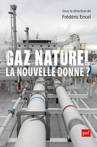 Image de Gaz naturel, la nouvelle donne ?