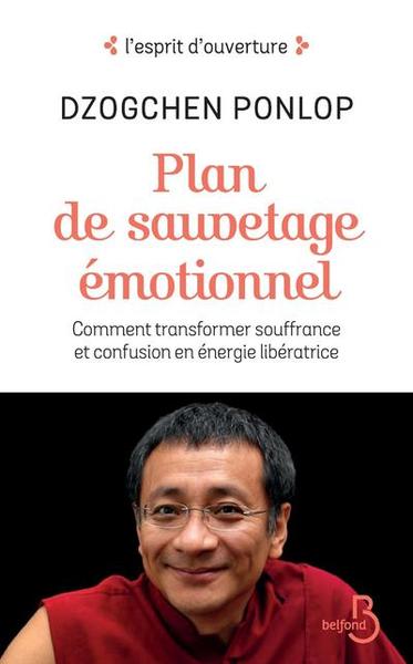 Picture of Plan de sauvetage émotionnel