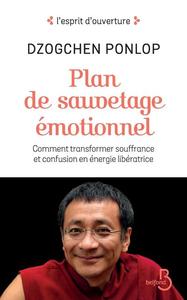 Picture of Plan de sauvetage émotionnel