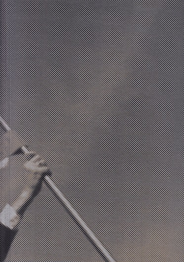 Picture of Falk Haberkorn After The Gold Rush /anglais/allemand