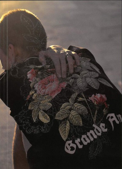 Picture of Sylvain Couzinet-Jacques: Sub Rosa /anglais/allemand