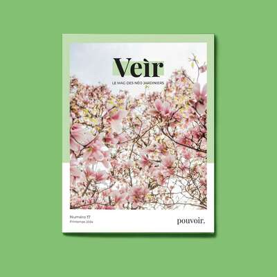 Image de VEIR MAGAZINE- NUMERO 17 - POUVOIR