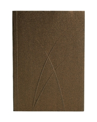 Picture of Paper-Oh Bronze - A6 - Ligné - 128 p.