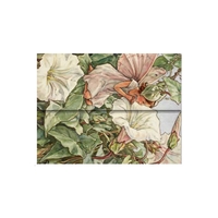 Image de Chemises porte-documents Fees des Fleurs Fee du Liseron