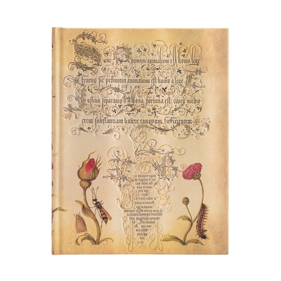 Image de Carnet rigide Paperblanks Rose Flamande Ultra Non ligné 144p.