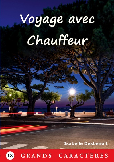 Picture of Voyage avec chauffeur