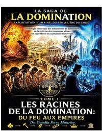 Image de Tome 1 les racines de la domination: du feu aux empires