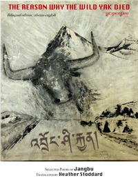 Picture of The reason why the wild yak died