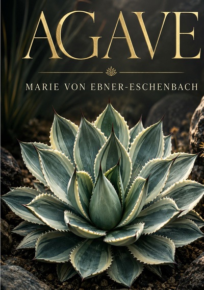 Image de Agave