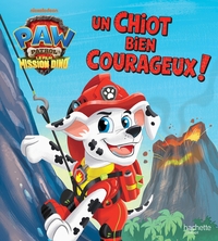 Image de La Pat' Patrouille : le film - mission Dino - L'histoire du film