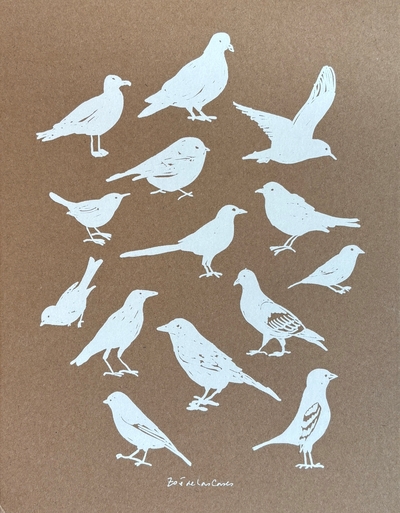 Picture of Carnet A4 Oiseaux - Zoé de Las Cases