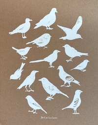 Picture of Carnet A4 Oiseaux - Zoé de Las Cases