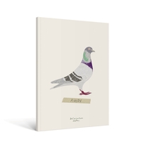 Picture of Carnet Oiseau A5 - Zoé de Las Cases