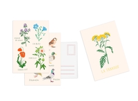 Image de Set de 10 cartes postales Fleurs