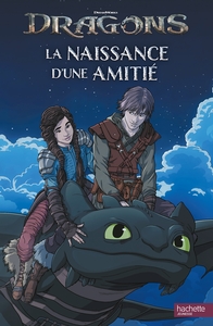 Picture of Dragons (film) - La naissance d'une amitié (RC)