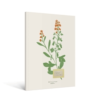 Picture of Carnet Fleurs A5 - Zoé de Las Cases