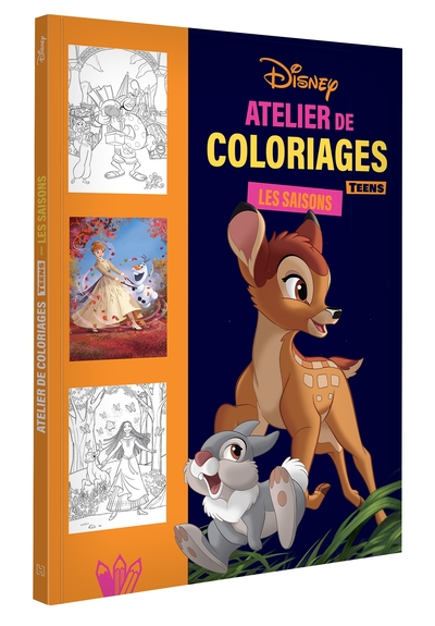 Image de DISNEY TEENS - Atelier de coloriages - Les Saisons