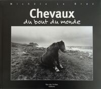 Picture of Chevaux du bout du monde