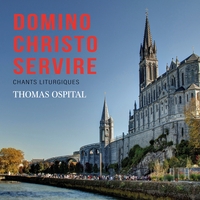 Picture of Domino Christo Servire