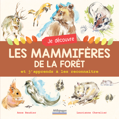 Image de Je découvre les mammifères de la forêt