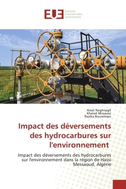 Picture of Impact des déversements des hydrocarbures sur l'environnement