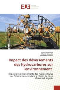 Picture of Impact des déversements des hydrocarbures sur l'environnement