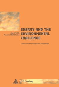Image de Energy and the Environmental Challenge