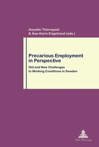 Picture of Precarious Employment in Perspective